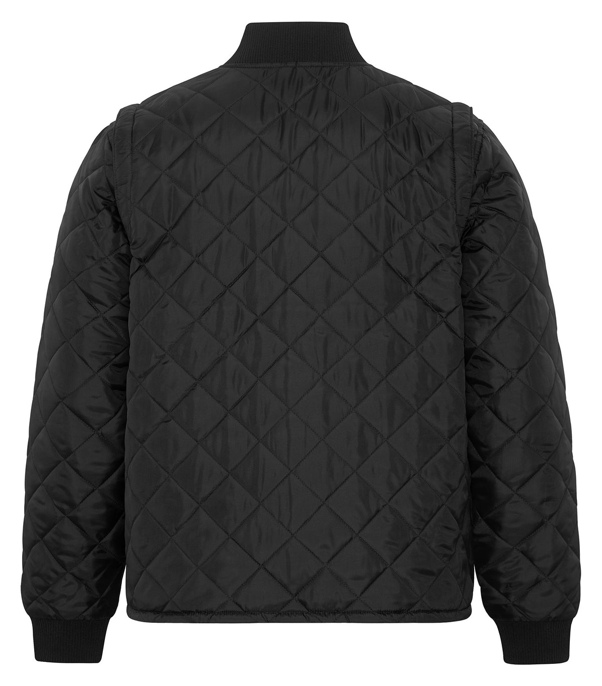 Quilted Freezer Jacket – Black (back)